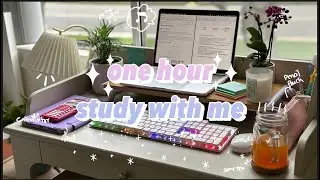 one hour study with me, realtime, lofi chill music