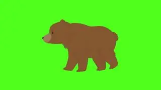 walking bear Green screen/ animation walking Brown bear on green screen