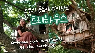 김제 시골마을에서 어린 시절의 꿈을 찾았어요💚✨ 미즈노씨네 트리하우스🌳