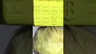 The 