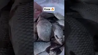 Клев был👋