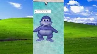 The Best of Bonzi Buddy: Season 1
