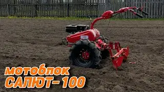 САЛЮТ-100 / посадка картофеля под мотоблок