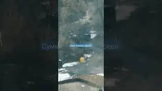 Суми. вирубка дерев під берега річок