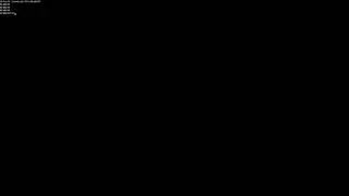 Custom shell prompt linux