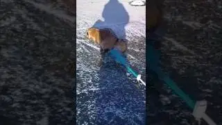 🤣🤣🤣 ОТДАЙ ЕМУ РЫБУ ОН СРЁТ, ТЕБЕ ЖАЛКО ЧТО ЛИ. 
