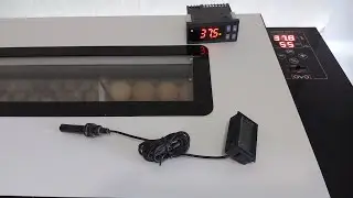 Датчик на яйце, зачем он нужен?