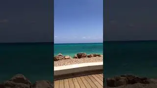 Алтея-город художников❤️ 
