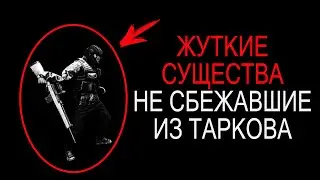 Мы не можем сбежать из Таркова ( Escape From Tarkov )