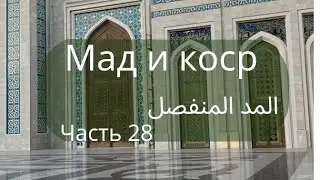 мадд мунфасиль. المد المنفصل. madd munfasil