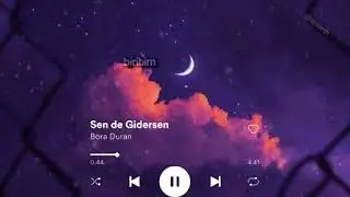 BORA DURAN SEN DE GİDERSEN LYRİCS