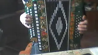 ой тайга моя густая разбор гармонь