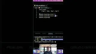 Slice & Splice in Javascript