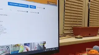 Банда Попугаев. Стрим. Как приручить попугая