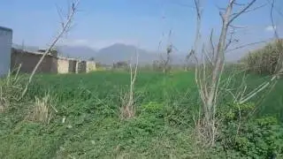 Kalo shah village visit
