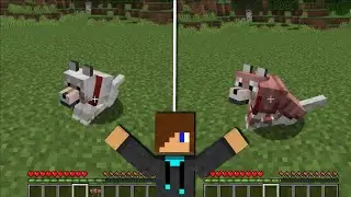 How To Craft Dog Armor❓- Version 1.21