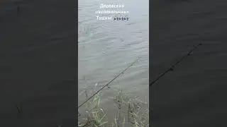 «Дедовский» колокольчик! Тащим пискаря! И не прошло пяти минут!
