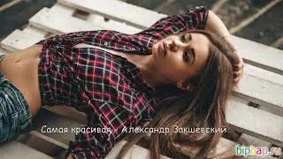 Самая красивая   Александр Закшевский