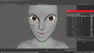 Art 303 Rig Video