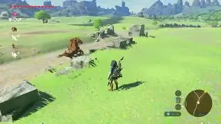 Horse.exe has stopped working