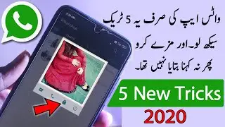 5 New Whatsapp TIPS, TRICKS!!! 2022