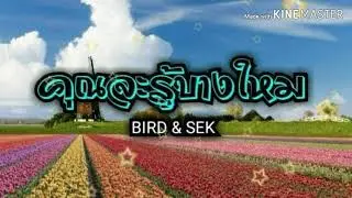 คุณจะรู้บางใหม:Bird-Sek