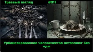 Искусственный голод, кризис, инфекционный кейс.