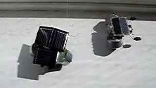 1381SE Beetlebot Vs. ToothBrush