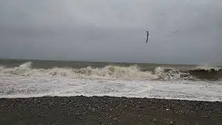 Sounds of the sea and waves. Sea of Okhotsk. 2022 05 15