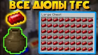 ВСЕ ДЮПЫ В TerraFirmaCraft [1.12.2]