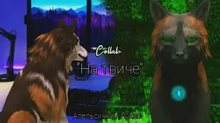 Wcmv-collab 