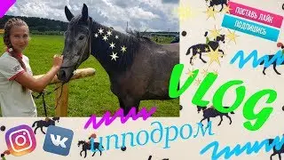 ИППОДРОМ ||| HIPPODROME ||| VLOG
