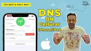 How to Use DNS in Mobile Data and Cellular on iOS