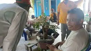 Diskusi