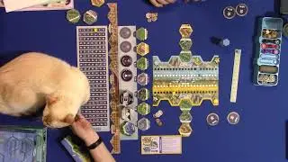 Играем в настольную игру Пригород с дополнениями