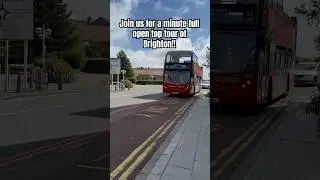 Brighton #funny #travel #shortsvideo