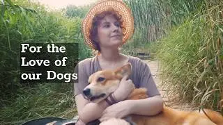 woofTAG - How it Works