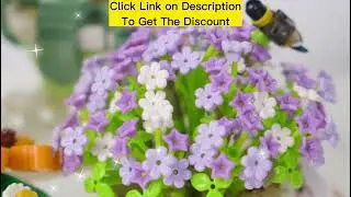 GESCHENKE FÜR SCHWIEGERMUTTER - Mini-Bonsai-Blumenpflanzen