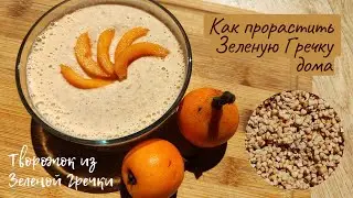Как Прорастить Зеленую Гречку Дома и Творожок из Зеленой Гречки Рецепт How to Sprout Buckwheat