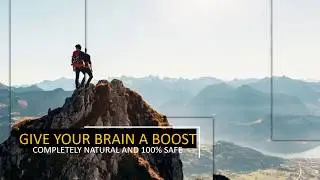Best Brain Enhancement Supplements Brain Supplements Reviews