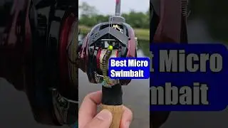 Catch More Fish With The Best Micro Swimbait Lure!