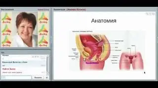Воспалительные заболевания женских органов.