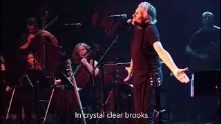 Roger Waters - Crystal clear brooks