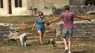 Ližnjan: Pet Friendly Destination
