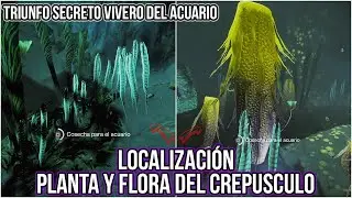 Triunfo SECRETO *VIVERO DEL ACUARIO* localización PLANTA Y FLORA DEL CREPÚSCULO - Destiny 2