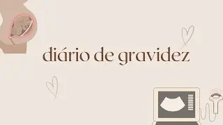 DIÁRIO DE GRAVIDEZ | primeiro e segundo trimestre e os meus sintomas