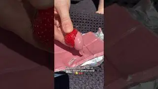 🔥CEL MAI SIMPLU ȘI FAIN 🍫DESERT PENTRU VARĂ!🍓CĂPȘUNI CU CIOCOLATĂ 