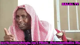 Bulugha Jam'ii #Bbabu_ShahaadaatiHadiisa 3ffaa