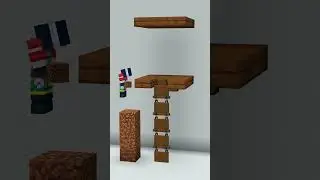 Ladder
