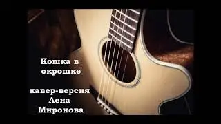 Лена Миронова - Кошка в окрошке